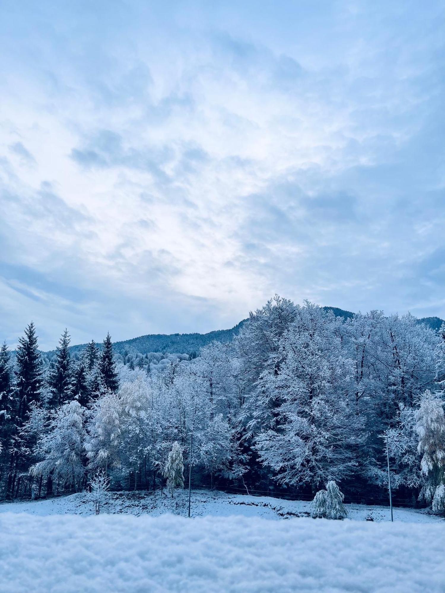 Mountain Nest In Silver Mountain Poiana Brasov Bagian luar foto